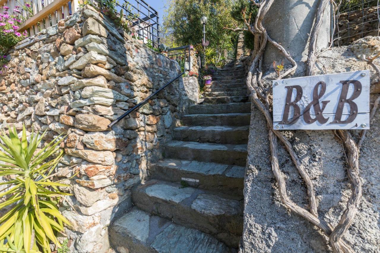 نولي B&B Ca De Badin المظهر الخارجي الصورة